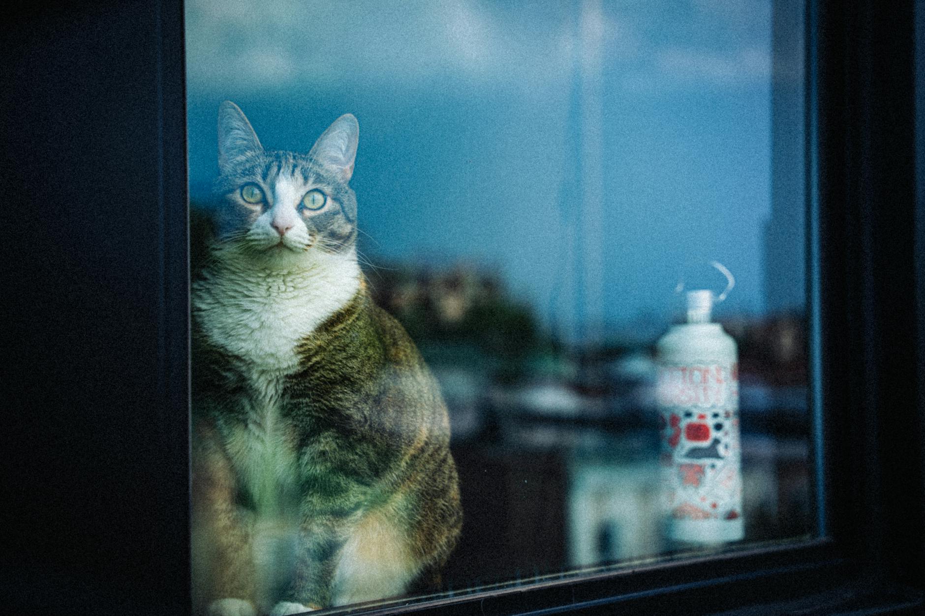 The Corner Office Was Supposed to Be Enough: The Loneliness No One Warned the 'Having It All' Generation About