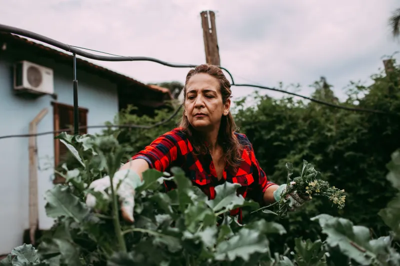Forty Acres and a Fool: The Hobby Farm Fantasy That Forgot to Mention the Labor Force