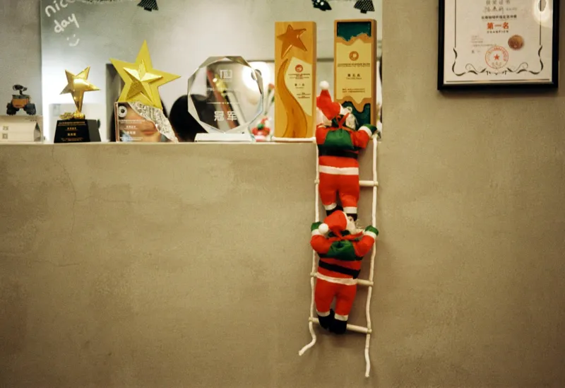 The Ladder-Puller's Lament: How Success Turned Sisterhood Into a Solo Act