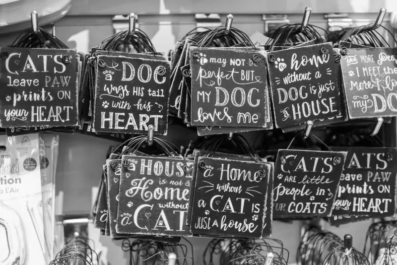 Madison Avenue's Masterpiece: How Pet Companies Discovered Your Emotional Blind Spot Before You Did